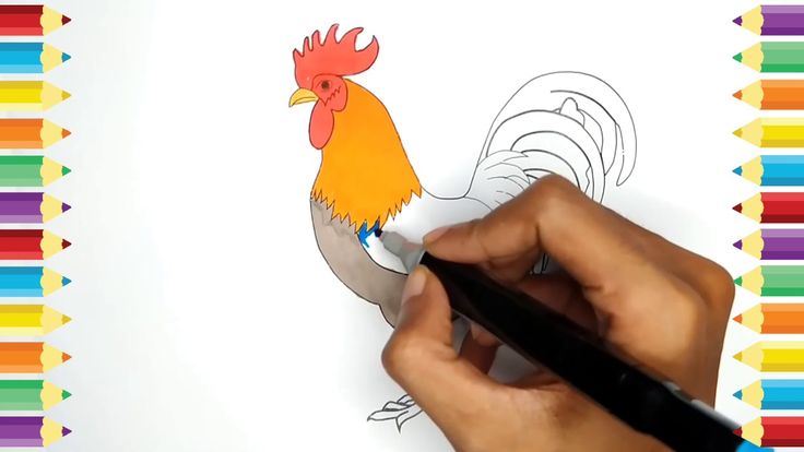 Detail Tutorial Menggambar Ayam Nomer 25