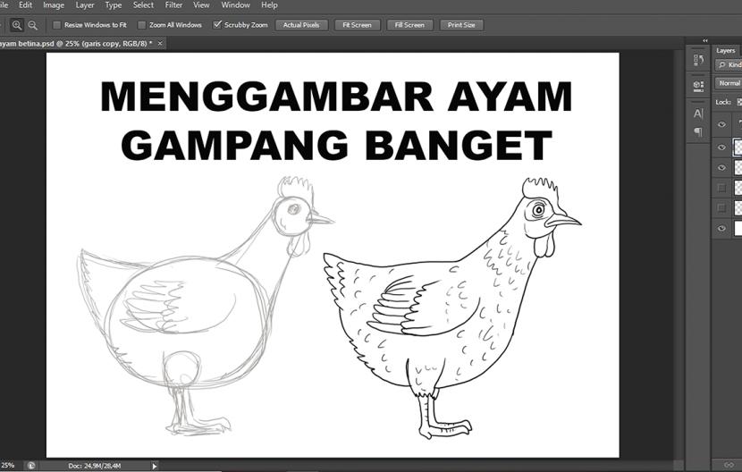 Detail Tutorial Menggambar Ayam Nomer 6