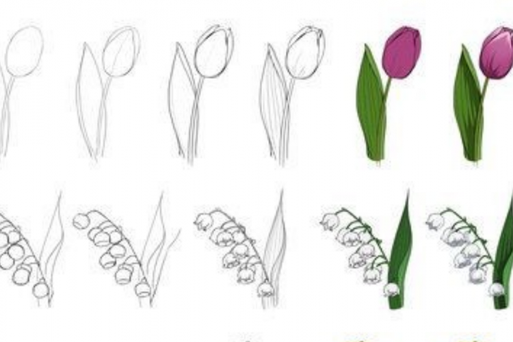 Detail Tutorial Menggambar Bunga Nomer 32