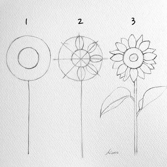 Detail Tutorial Menggambar Bunga Nomer 33