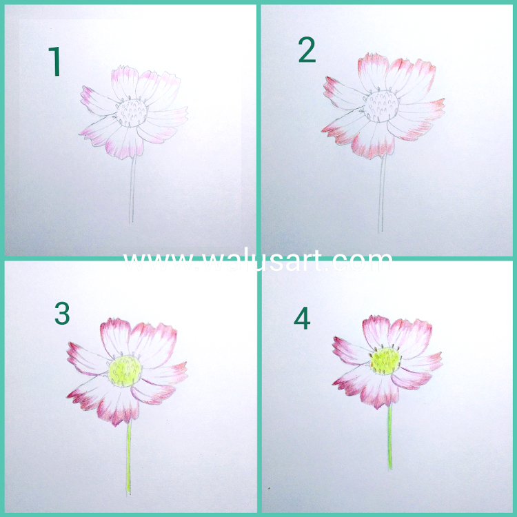 Detail Tutorial Menggambar Bunga Nomer 36