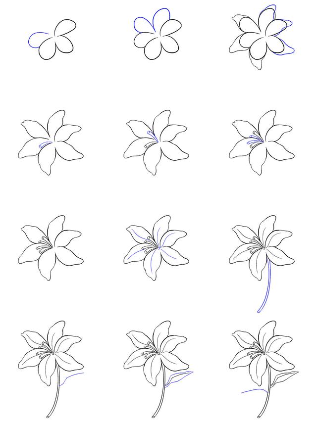 Detail Tutorial Menggambar Bunga Nomer 5