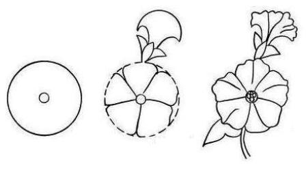 Detail Tutorial Menggambar Bunga Nomer 40
