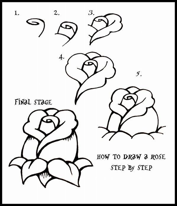 Detail Tutorial Menggambar Bunga Nomer 41