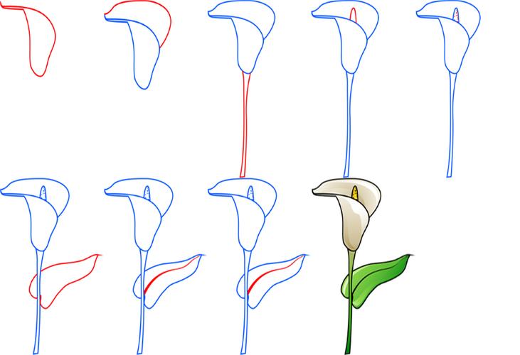 Detail Tutorial Menggambar Bunga Nomer 44