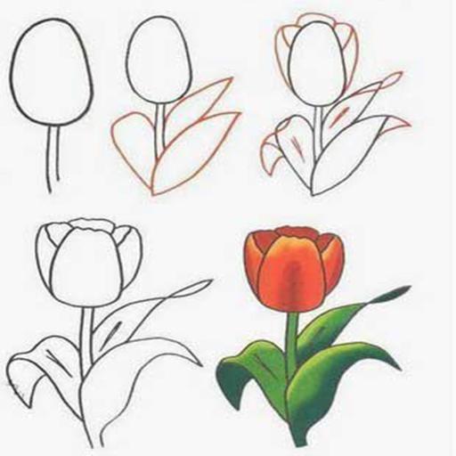 Detail Tutorial Menggambar Bunga Nomer 49