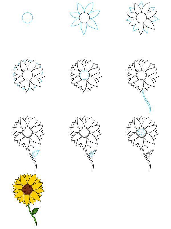Detail Tutorial Menggambar Bunga Nomer 52
