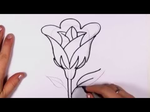 Detail Tutorial Menggambar Bunga Nomer 7