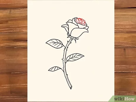 Detail Tutorial Menggambar Bunga Mawar Nomer 6
