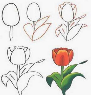 Detail Tutorial Menggambar Flora Nomer 12
