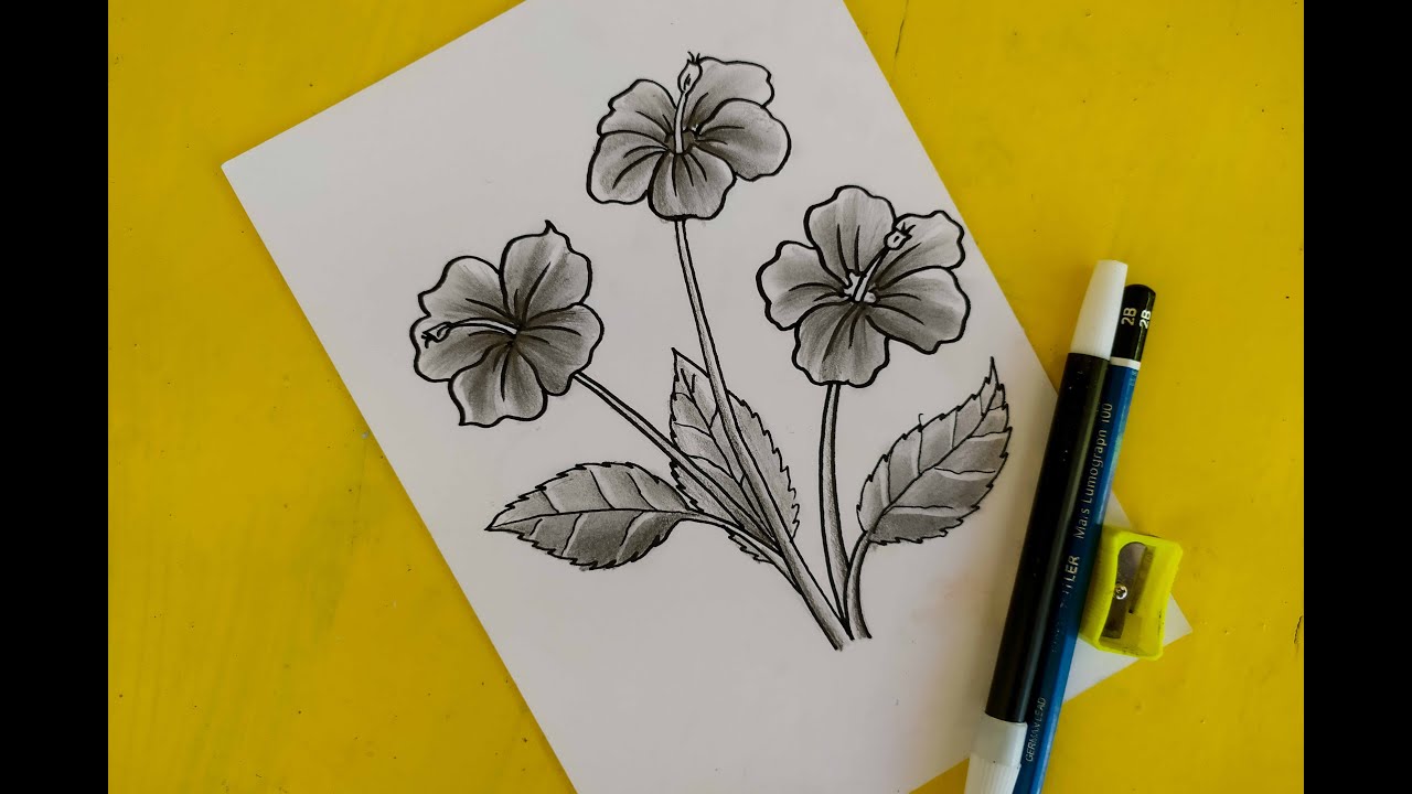 Detail Tutorial Menggambar Flora Nomer 13