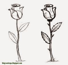 Detail Tutorial Menggambar Flora Nomer 25