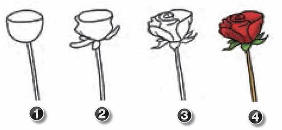 Detail Tutorial Menggambar Flora Nomer 30