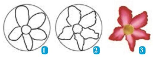 Detail Tutorial Menggambar Flora Nomer 39