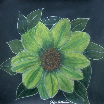 Detail Tutorial Menggambar Flora Nomer 42