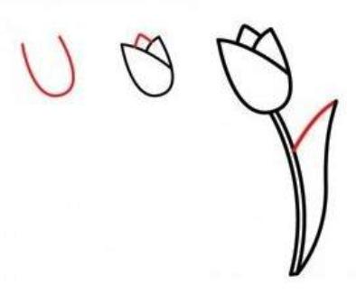 Detail Tutorial Menggambar Flora Nomer 8