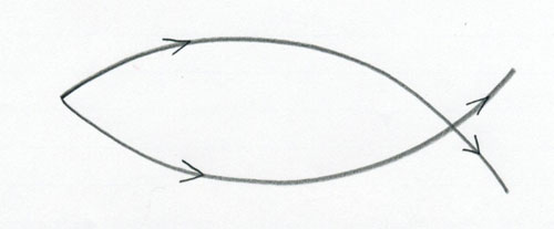 Detail Tutorial Menggambar Ikan Nomer 47
