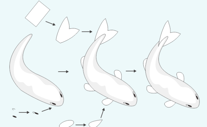 Detail Tutorial Menggambar Ikan Nomer 53
