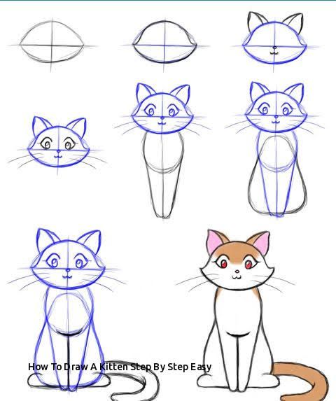 Detail Tutorial Menggambar Kucing Nomer 18