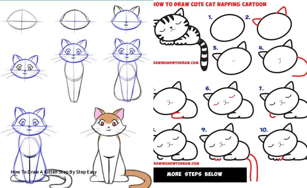 Detail Tutorial Menggambar Kucing Nomer 5