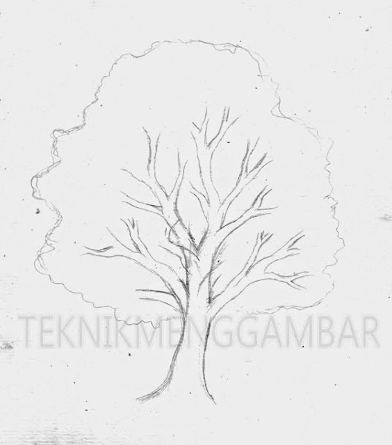 Detail Tutorial Menggambar Pohon Nomer 35