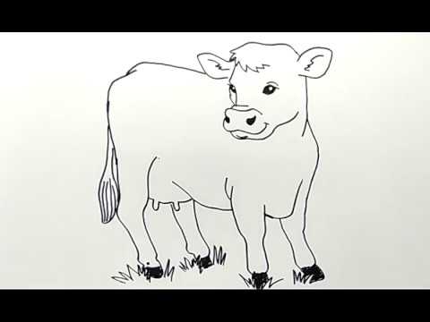 Tutorial Menggambar Sapi - KibrisPDR