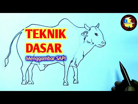 Detail Tutorial Menggambar Sapi Nomer 18