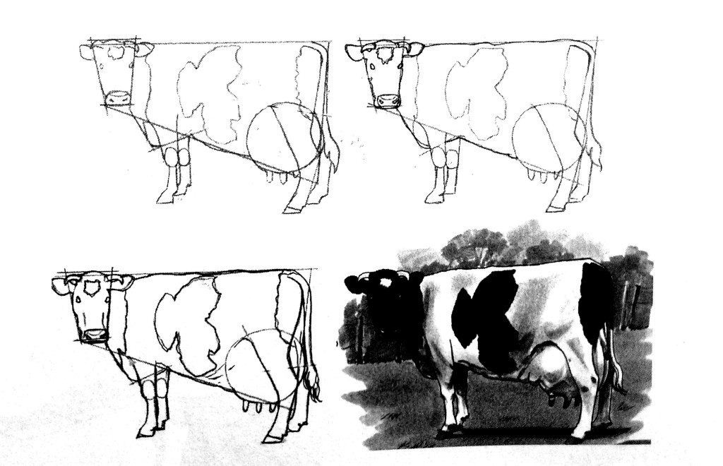 Detail Tutorial Menggambar Sapi Nomer 42