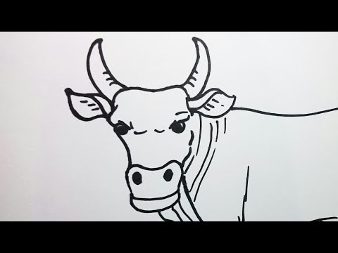 Detail Tutorial Menggambar Sapi Nomer 46