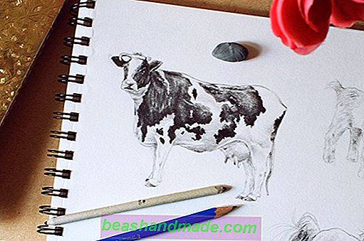 Detail Tutorial Menggambar Sapi Nomer 49