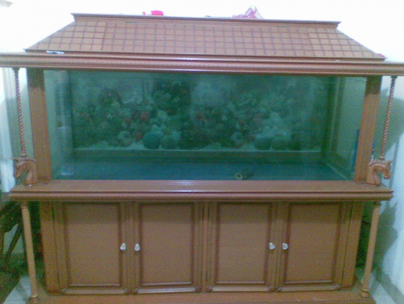 Detail Tutup Aquarium Bentuk Rumah Nomer 2