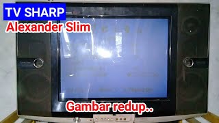 Detail Tv Sharp Alexander Slim Gambar Melebar Nomer 18