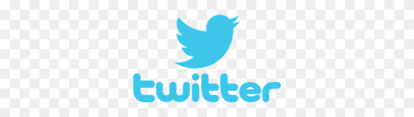Detail Tweets Logo Nomer 25
