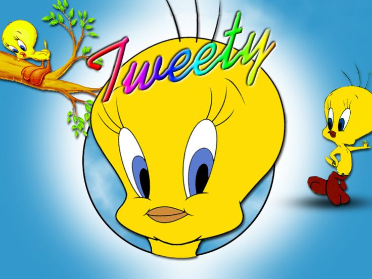 Detail Tweety Wallpaper Nomer 48