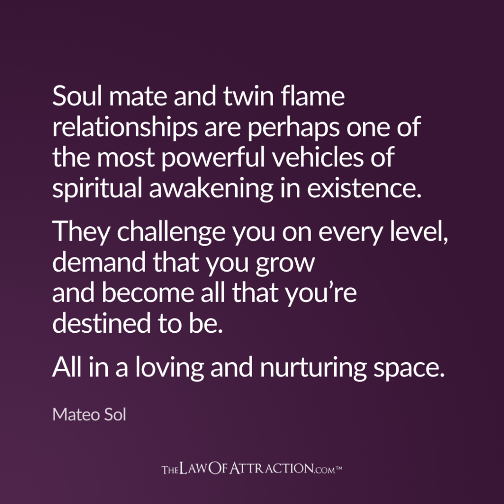 Detail Twin Flame Quotes Nomer 15