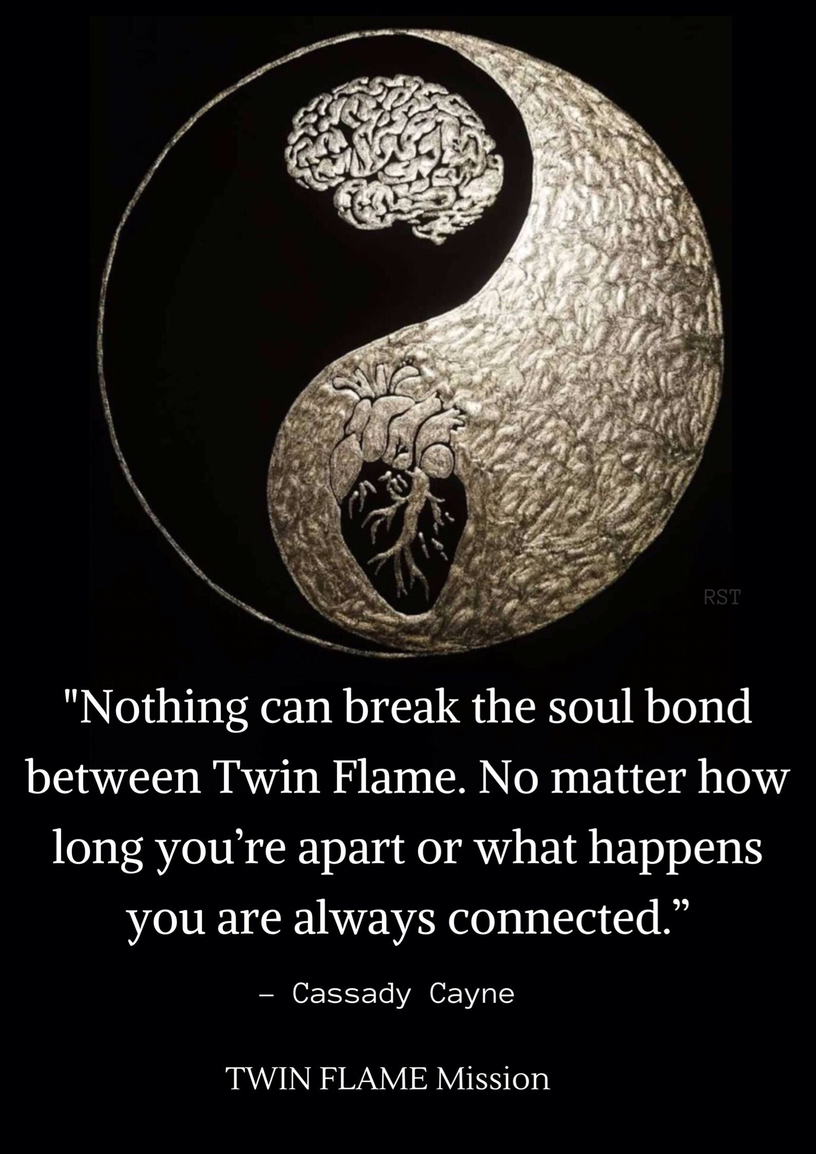 Detail Twin Flame Quotes Nomer 21