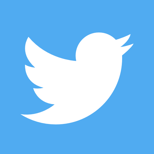 Twiter Icon - KibrisPDR