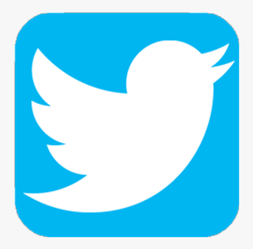 Detail Twiter Icon Nomer 21
