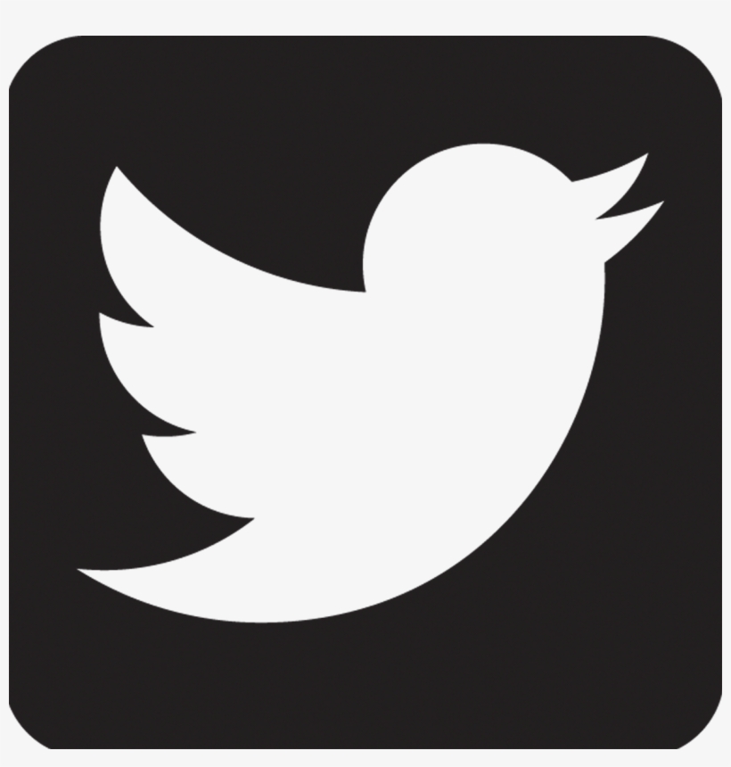 Detail Twiter Icon Nomer 33