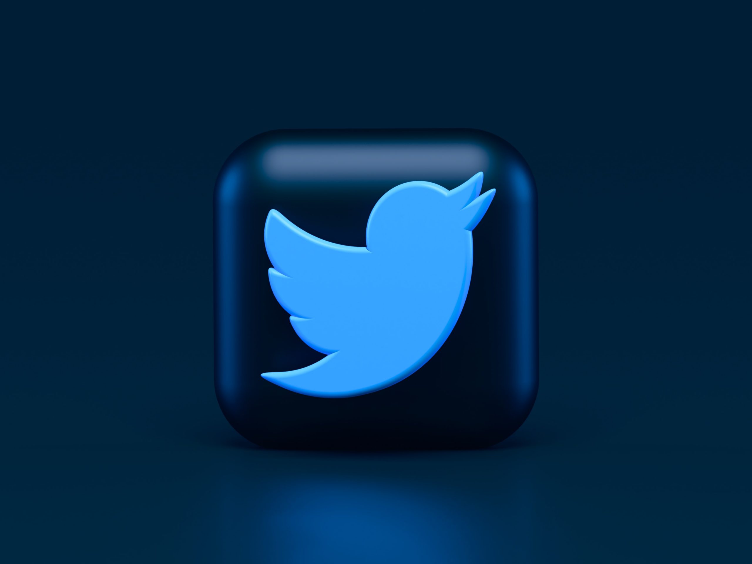 Detail Twiter Icon Nomer 42