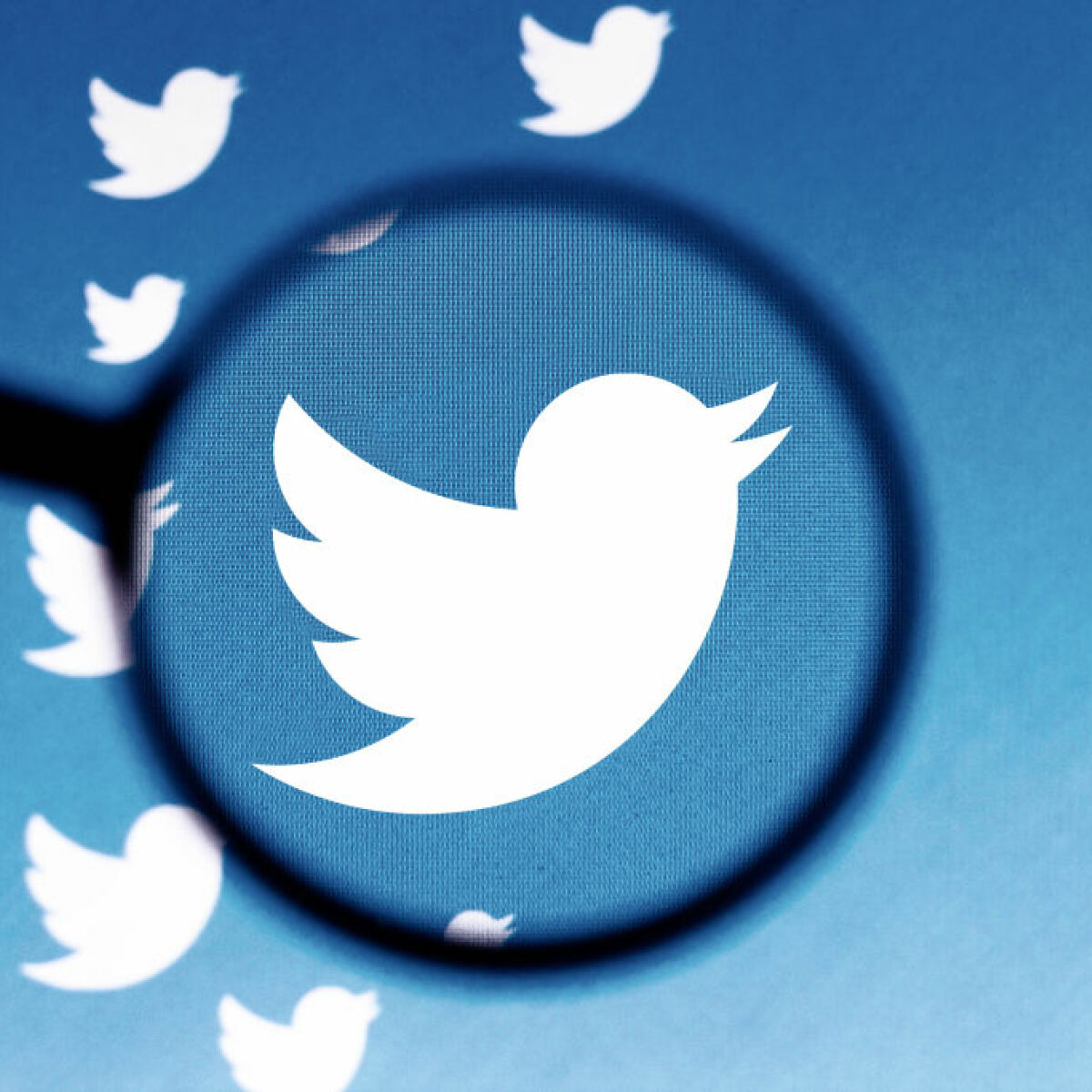 Detail Twitte Logo Nomer 33
