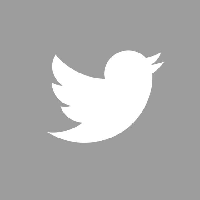 Detail Twitter App Icon Transparent Nomer 18