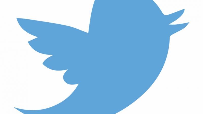 Detail Twitter Bird Logo Png Nomer 30