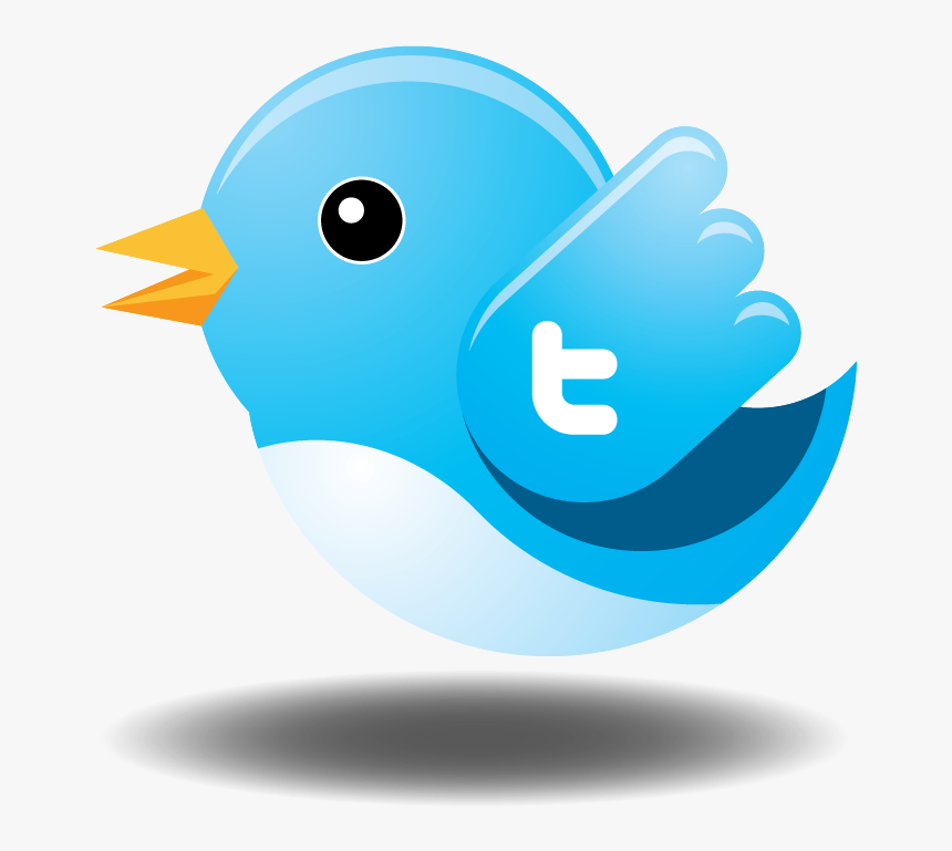 Detail Twitter Bird Logo Png Nomer 35