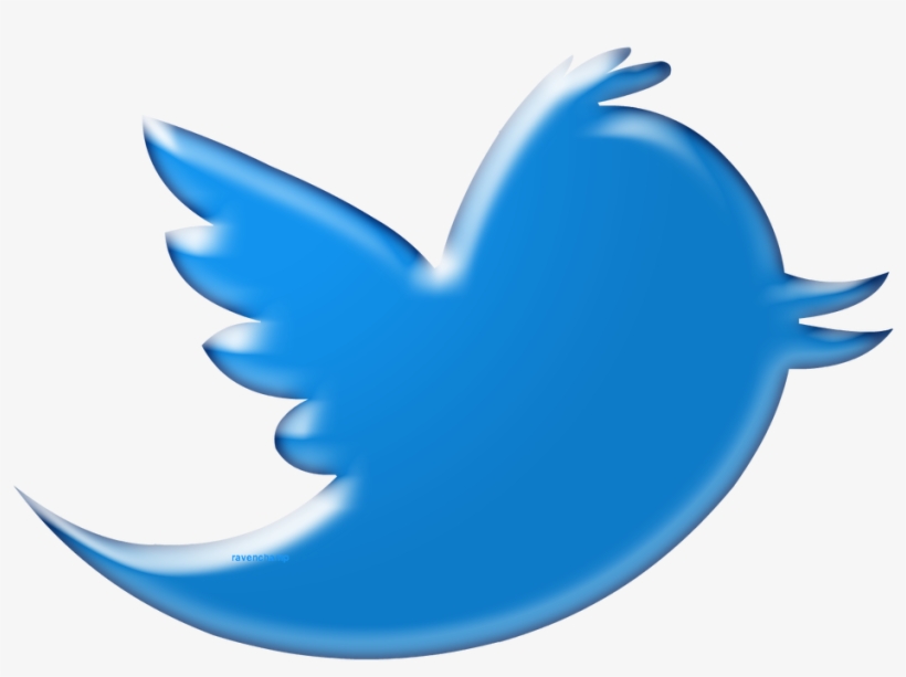 Detail Twitter Bird Logo Png Transparent Background Nomer 7