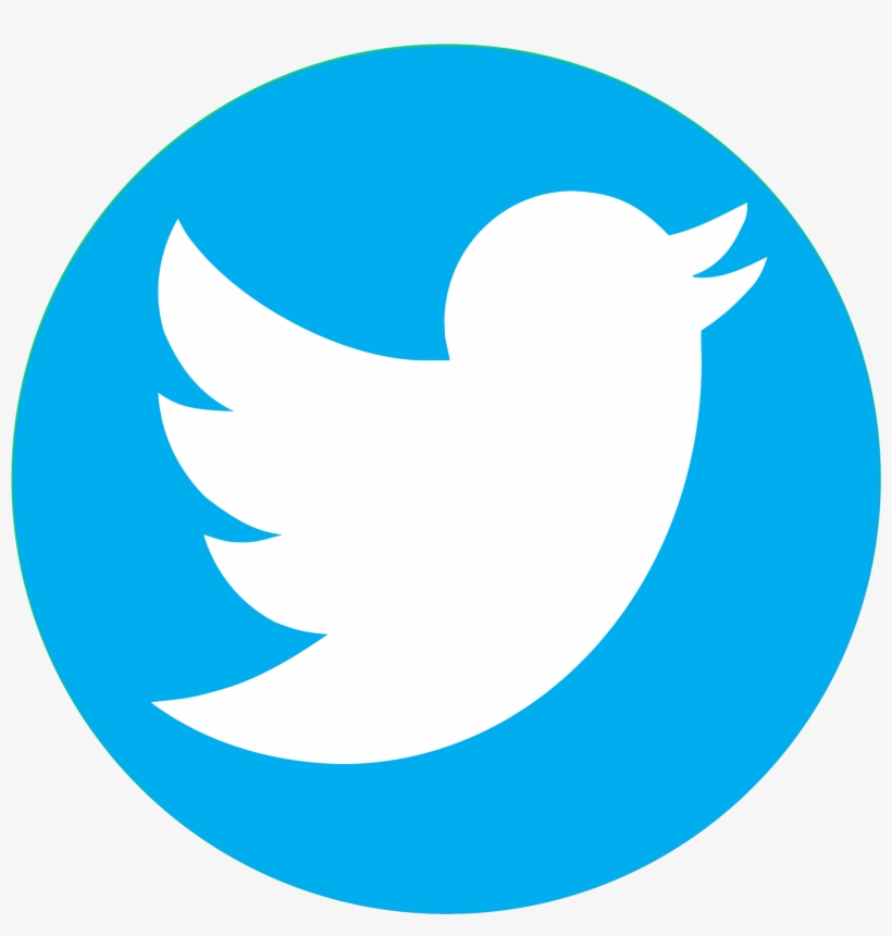 Twitter Bird Logo Png Transparent Background - KibrisPDR