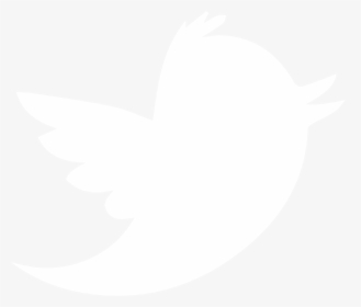 Detail Twitter Bird Logo Png Transparent Background Nomer 21