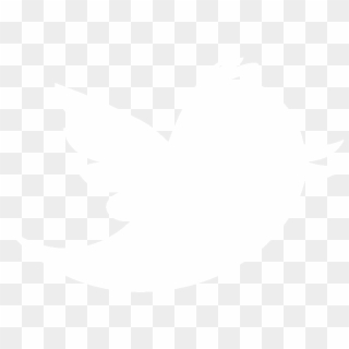 Detail Twitter Bird Logo Png Transparent Background Nomer 22
