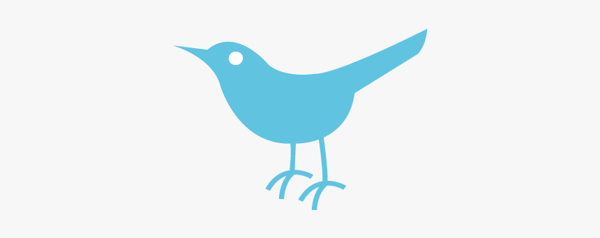 Detail Twitter Bird Logo Png Transparent Background Nomer 26