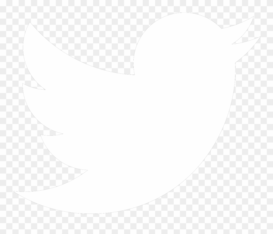 Detail Twitter Bird Logo Png Transparent Background Nomer 28
